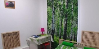 Великий Новгород: Отель Берёза