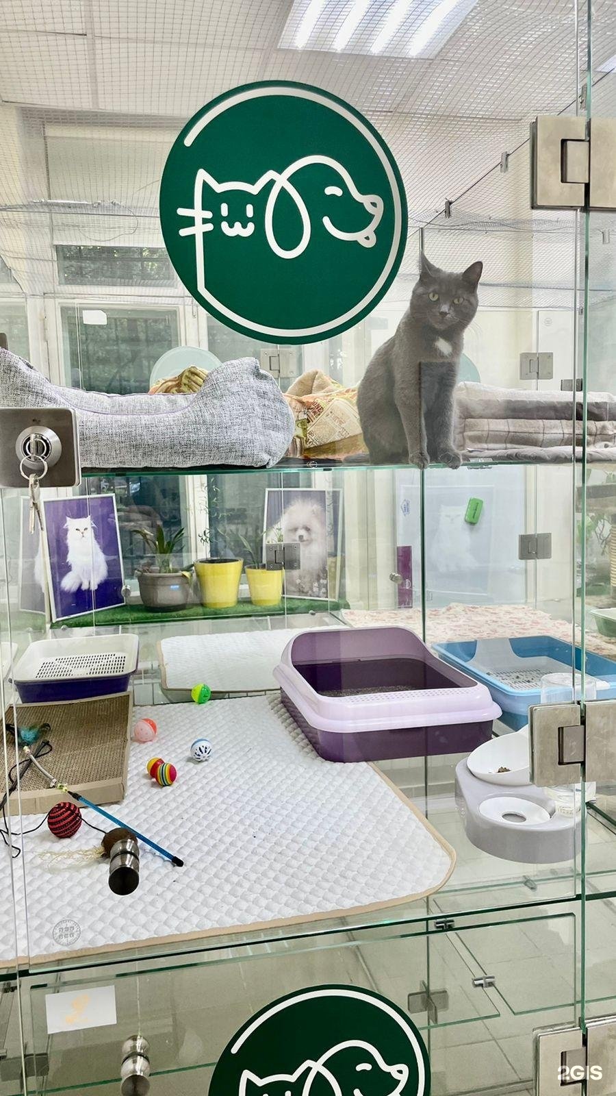 Пушистая братва антикафе с енотами. Прохорова юлия грумер арчибальд. Зоосалон зоопространство. Зоосалон зоопространство. Зоосалон зоопространство.