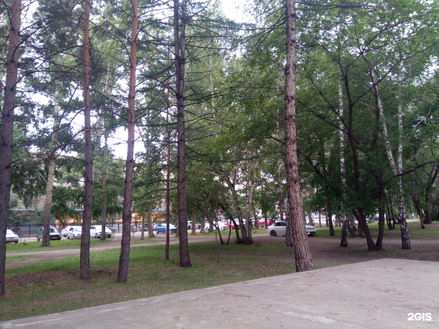 Парк лесной городок. Лесная сказка Дзержинск. Парк Лесная сказка Барнаул. Асино парк Лесной. Сказка Лесная Дубна.