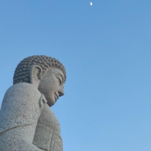 Фото от владельца Буддийский центр