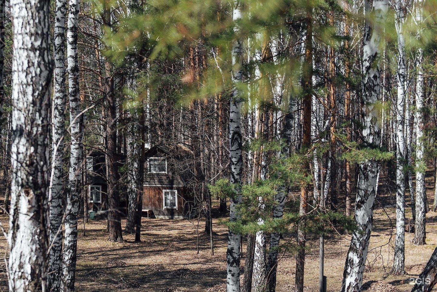 Погода в бурмистрово на 10 дней