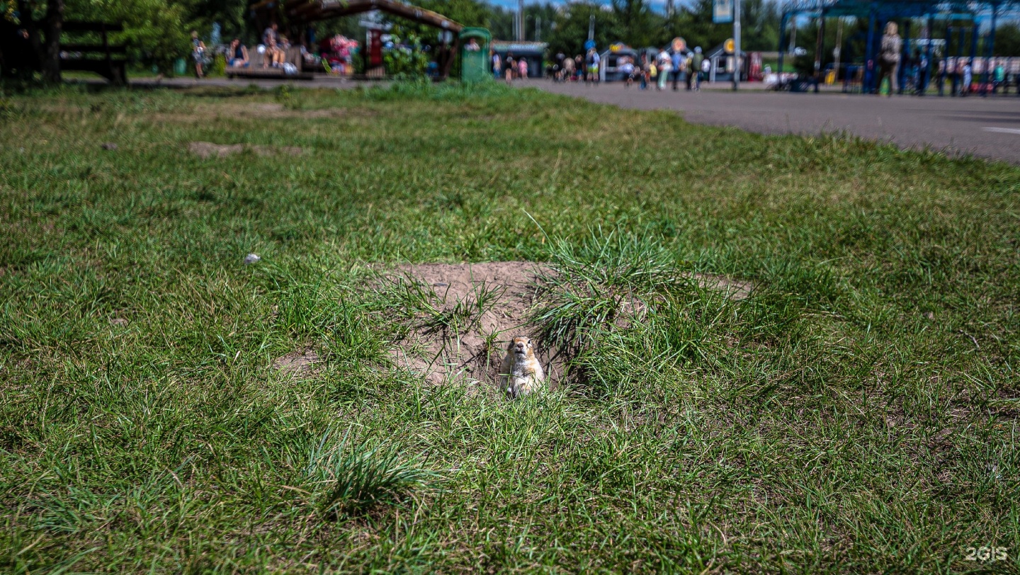 Татышев парк красноярск остров татышев 5 1. Красноярск остров Татышев 5/1 Татышев-парк. Остров Татышев Красноярск. Татышев парк озеро.