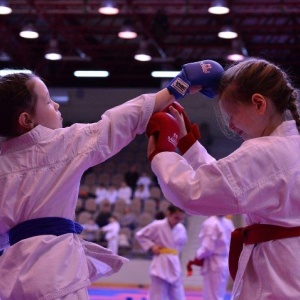 Фото от владельца Shotokan, секция карате