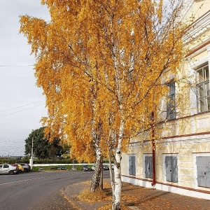 Фото от владельца Арх4ехол, рекламное агентство