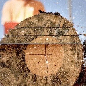 Фото от владельца ЮНиК, ООО, компания по продаже, ремонту деревообрабатывающего оборудования и инструментов