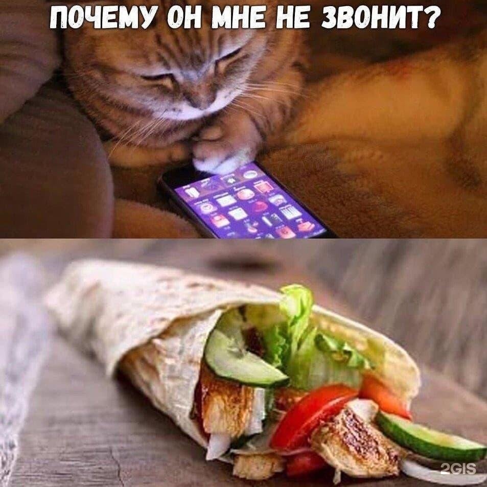 Кот шаурма рисунок