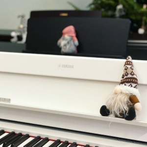 Фото от владельца Love-Piano, интернет-магазин клавишных инструментов