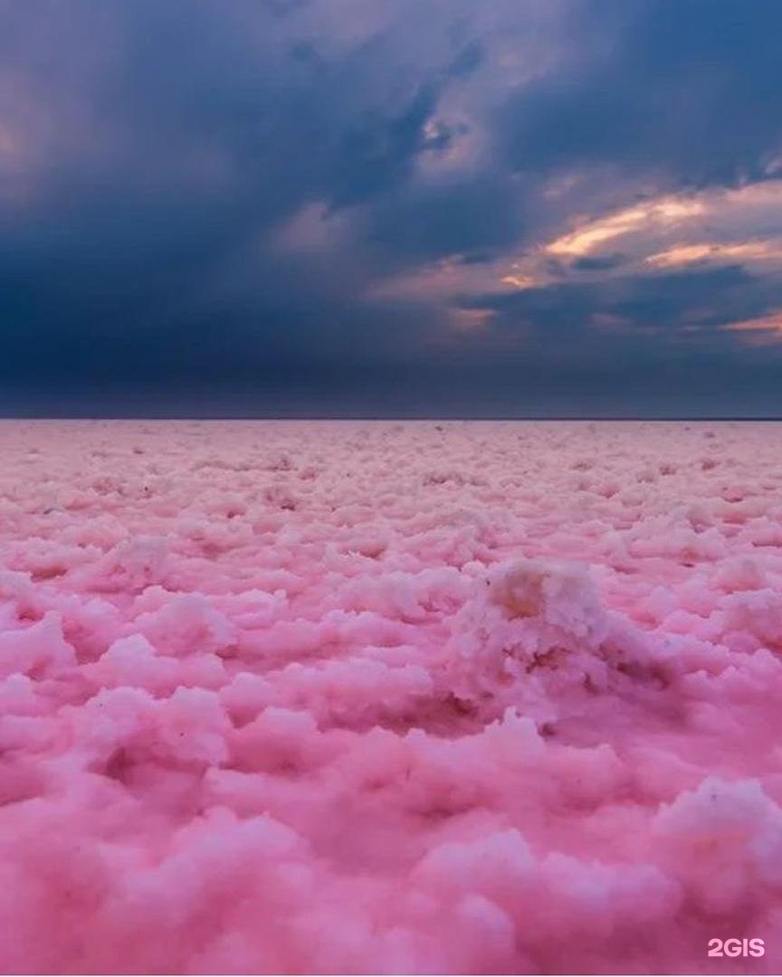 Розовый цвет озера Эльтон