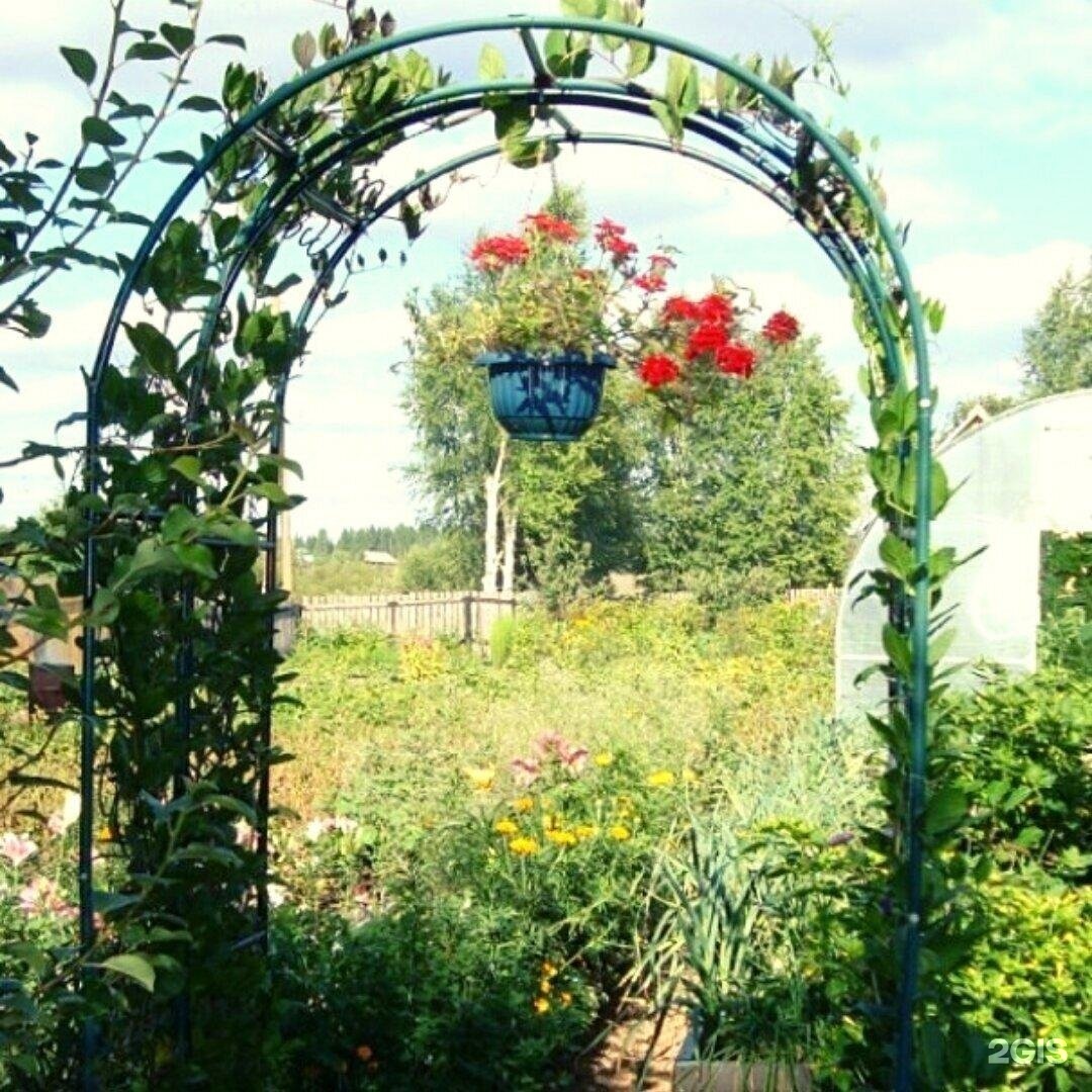 Дача Арки Фото