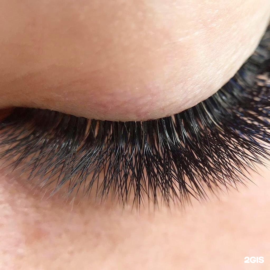 Wow brow студия. Wow brow студия