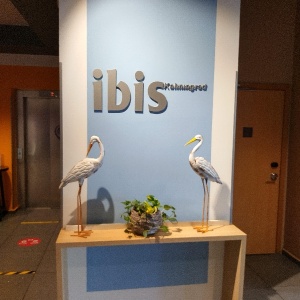 Фото от владельца Ibis, гостиница