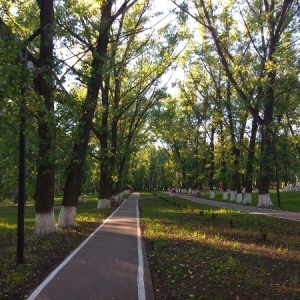 Фото от владельца Чистяковская роща, парк культуры и отдыха