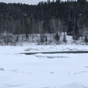 Фото от владельца Манаград, ООО, экопарк