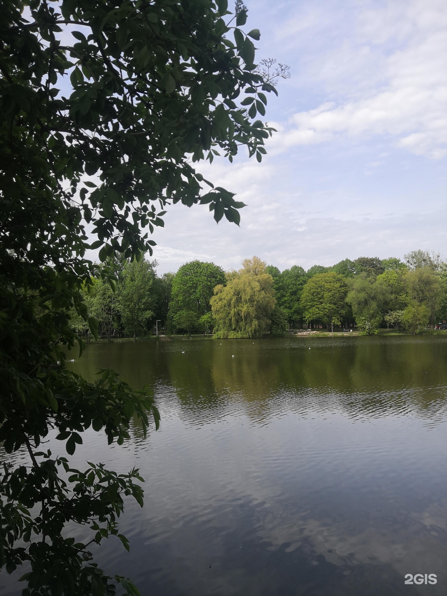 южный парк калининград