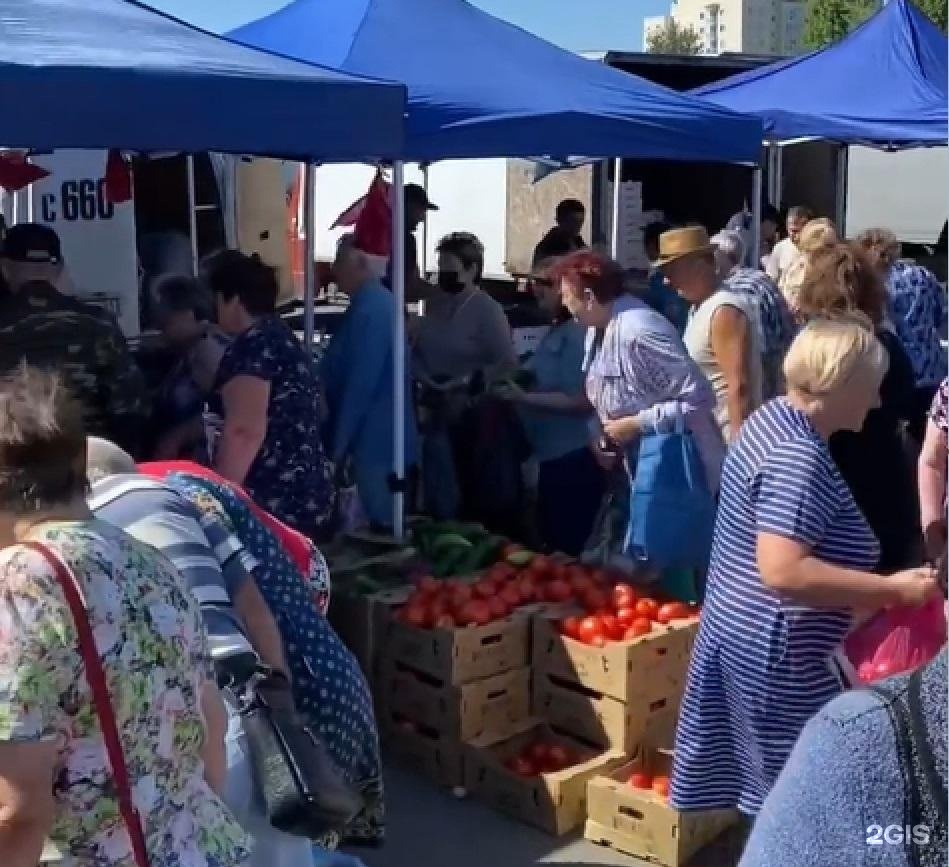 Ярмарка продуктов. Рынок ярмарка. Ярмарка южная белгород. Южная ярмарка. Южный рынок спб.