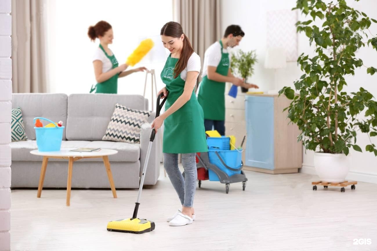 Услуги уборки квартиры уборка квартир ру