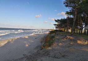 Турбаза Куликово поле на Балтийском море