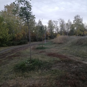 Фото от владельца Экологический парк, МБУ