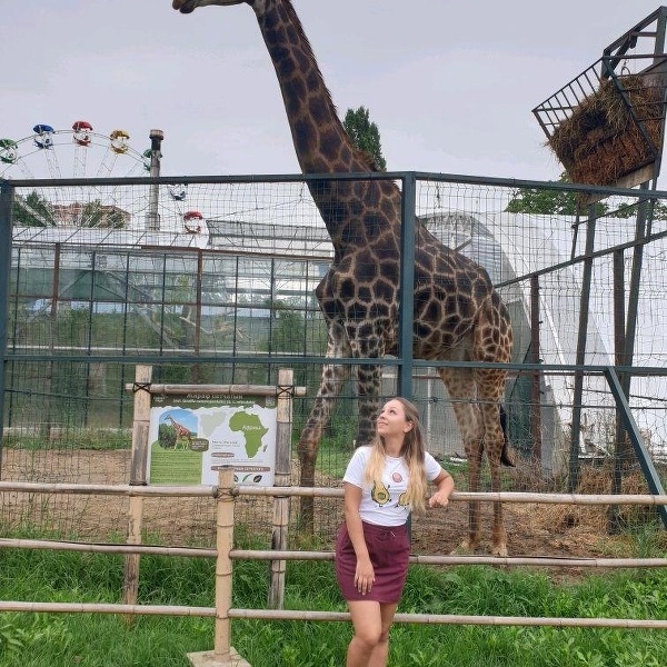 Сафари Парк Краснодар Цена