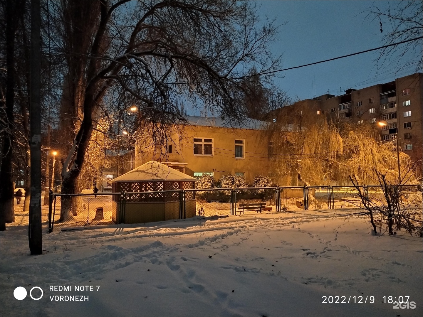 Гимназия Машиностроителей Воронеж.