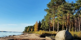 Турбаза "Чайка": Коттедж Сосновый бор