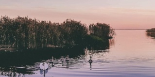 Анохово: Коттедж Озёрная