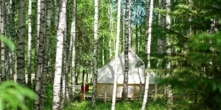 Сокольский городской округ: Глэмпинг Берег Грифона