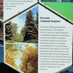 Фото от владельца Дендрарий, НИИ садоводства Сибири им. М.А. Лисавенко
