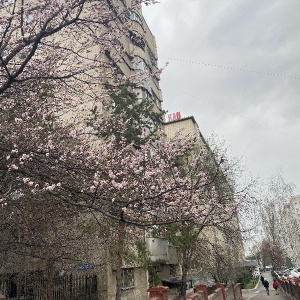 Фото от владельца Алматинский колледж связи, КАУ