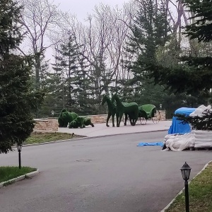 Фото от владельца Амурский залив, санаторий