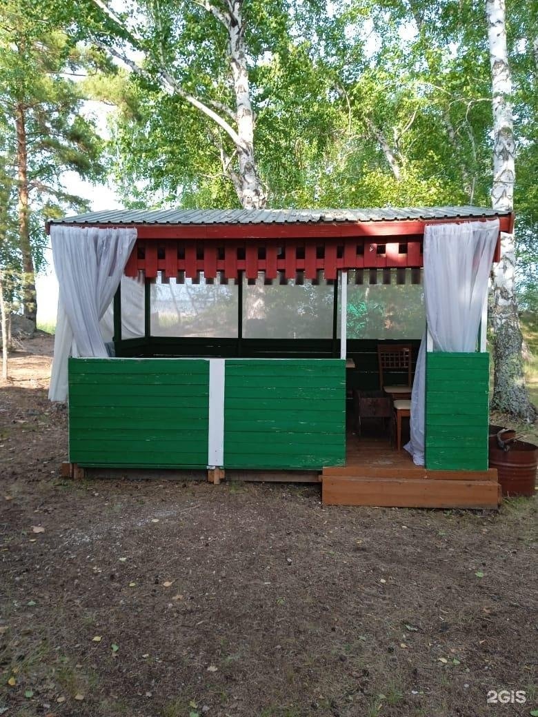 Ак кайын