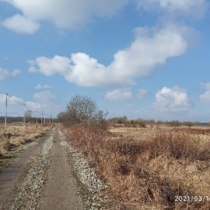 Фото от владельца Декорум, группа компаний