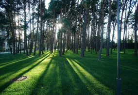 Отель Green Park Kaluga Hotel в Калужской области