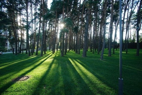 Калуга: Отель Green Park Kaluga Hotel
