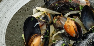 Кировск: Отель Эккос