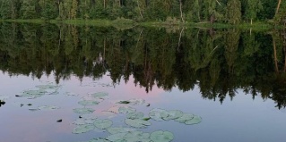 Пряжинский район: Турбаза Harland Village