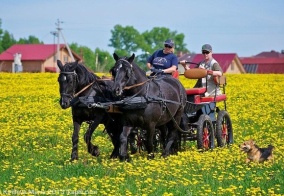 Отель Ярославль в Ярославской области