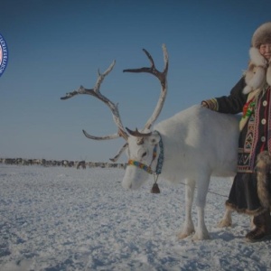 Фото от владельца Агентство по государственному заказу, инвестиционной деятельности и межрегиональным связям Республики Татарстан