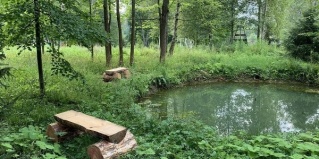 Богородский городской округ: Отель Дубки