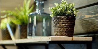 Елизовский район: Турбаза Kamchatka forest lodge