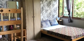 Новый Афон: Гостевой дом Эль Платано