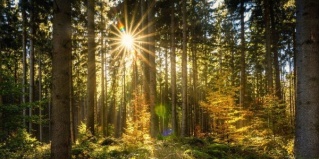 Архыз: Гостевой дом Шаудан