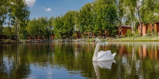 Починки: Турбаза Золотая рыбка