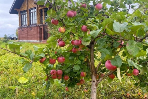 Ретлё: Турбаза Большой камень
