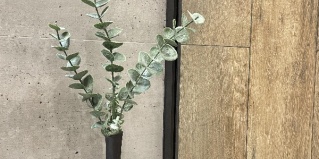 Петрозаводск: Апартаменты Апартаменты Бунинъ