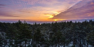 Выборгский муниципальный район: Коттедж Мы здесь