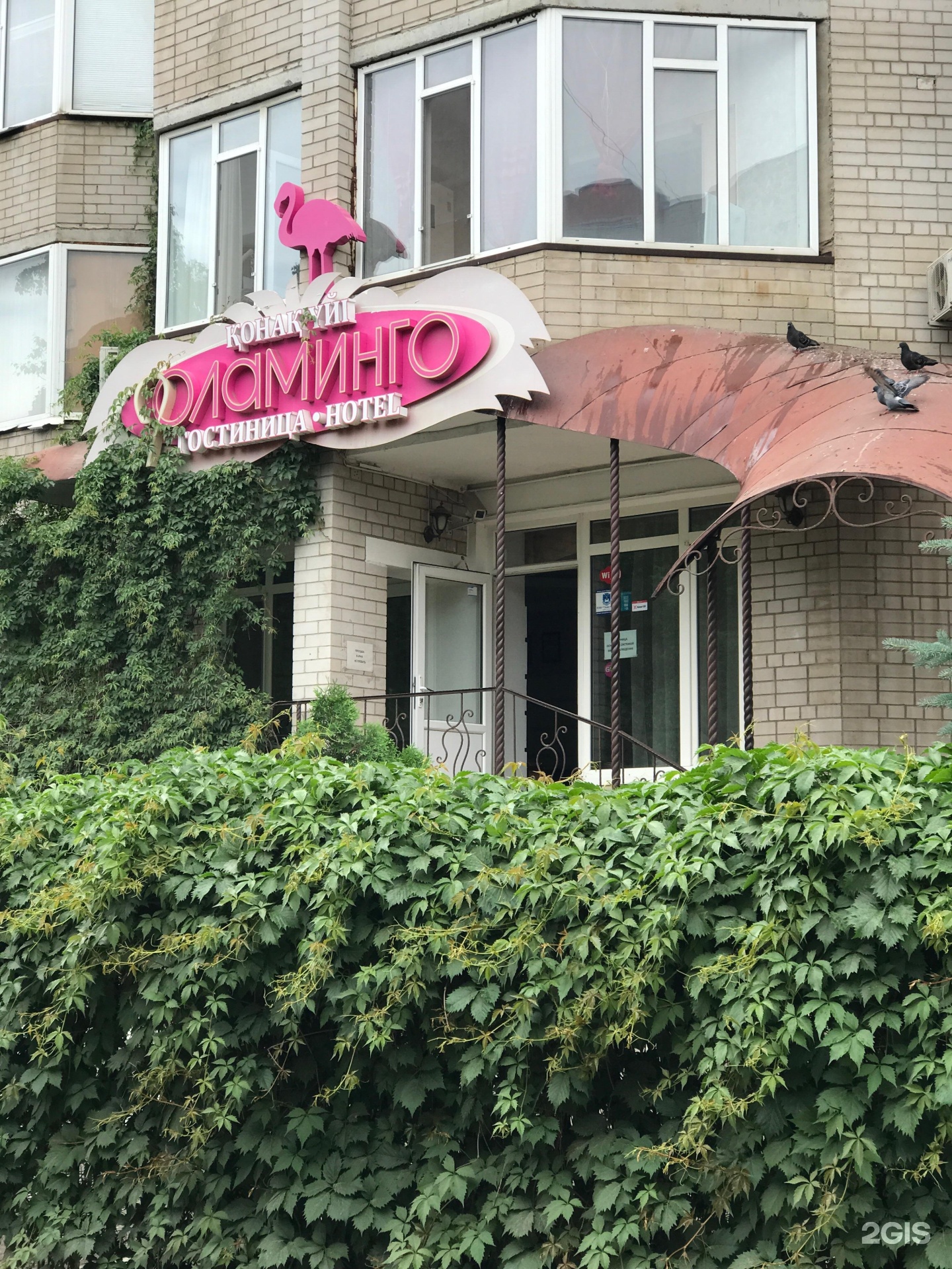 Фламинго