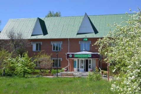 Озеро Тагарское: Санаторий Сосновый бор