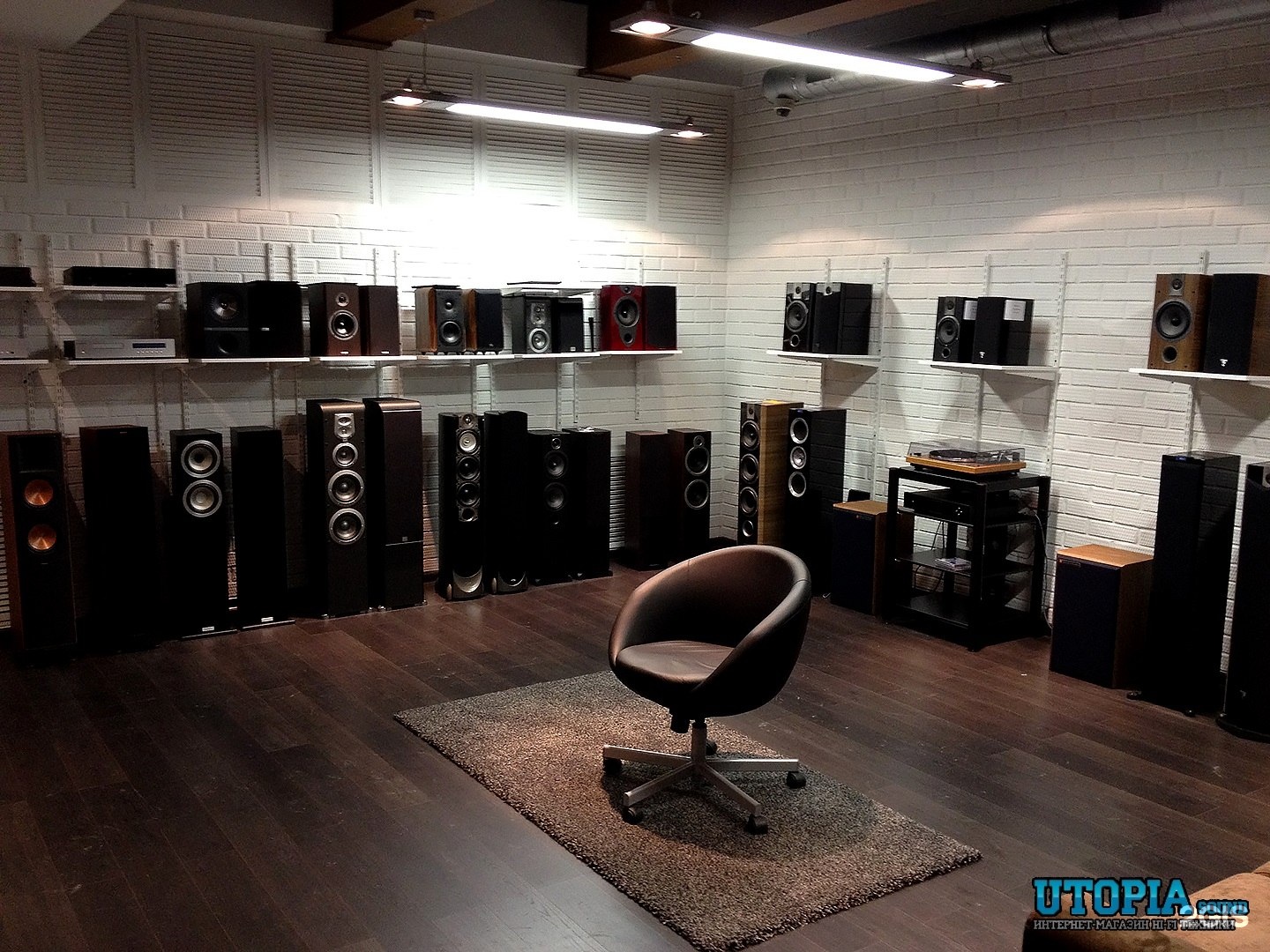 Утопия саунд. Утопия саунд. Utopia новосибирск. Утопия саунд. Todd rundgren - space force - 2022.