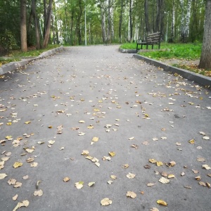 Фото от владельца Бугринская роща, парк культуры и отдыха